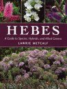 Hebes: A Guide to Species, Hybrids & Allied Genera
