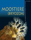 Moostiere (Bryozoa) / Moss Animals (Bryozoa) [English / French / German]