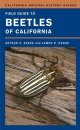 Field Guide to Beetles of California