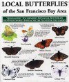 Quick Guide to Local Butterflies of the San Francisco Bay Area
