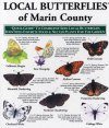 Quick Guide to Local Butterflies of Marin County
