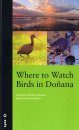 Where to Watch Birds in Doñana