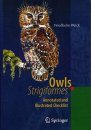 Owls (Strigiformes) - Annotated and Illustrated Checklist