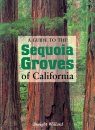 A Guide to the Sequoia Groves of California