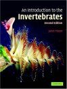 An Introduction to the Invertebrates