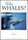 Why Whales?