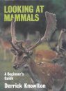 Looking at Mammals