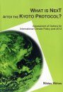 What is Next After the Kyoto Protocol?