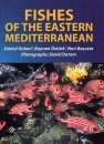 Fishes of the Eastern Mediterranean