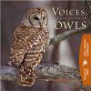 Voices of North American Owls (2CD)