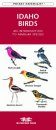 Idaho Birds