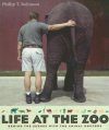 Life at the Zoo