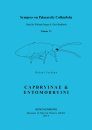 Synopses on Palaearctic Collembola, Volume 7, Part 1: Capbryinae & Entomobryini