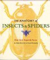 The Anatomy of Insects and Spiders