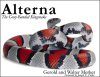 Alterna: The Gray-Banded Kingsnake