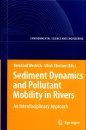 Sediment Dynamics and Pollutant Mobility in Rivers