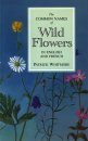 Common Names of Wild Flowers in English and French