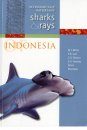 Economically Important Sharks and Rays of Indonesia