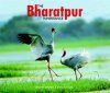 The Bharatpur Inheritance