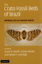 The Crato Fossil Beds of Brazil