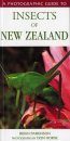 A Photographic Guide to Insects of New Zealand