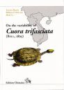 On the Variability of Cuora trifasciata (Bell, 1825)