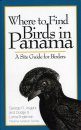 Where to Find Birds in Panama