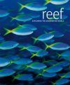 Reef: Exploring the Underwater World