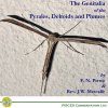 The Genitalia of the Pyrales, Deltoids & Plumes