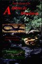 Guía de Campo de los Anfibios de Honduras [Field Guide of the Amphibians of Honduras]