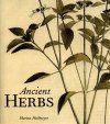 Ancient Herbs
