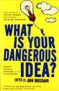 What Is Your Dangerous Idea?