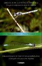 Dragonflies of the Yungas (Odonata) / Libélulas de las Yungas (Odonata)