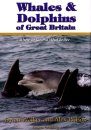 Whales and Dolphins of Great Britain