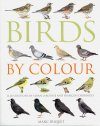 Birds by Colour