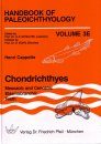 Handbook of Paleoichthyology, Volume 3E: Chondrichthyes V