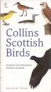 Collins Scottish Birds