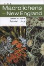 The Macrolichens of New England
