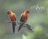 Birds of the Amazon Forest / Aves da Amazonia