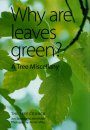 Why Are Leaves Green?