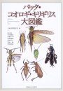 Orthoptera of the Japanese Archipelago in Colour [Japanese]