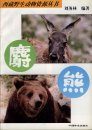 Wildlife Resoures of Tibet Series 1: Musk Deer and Bear [Chinese]