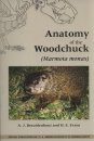 Anatomy of the Woodchuck