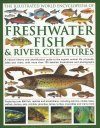 The Illustrated World Encyclopedia of Freshwater Fish and River Creatures