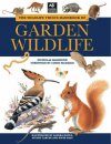 The Wildlife Trust Handbook of Garden Wildlife