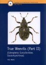 RES Handbook, Volume 5, Part 17c: True Weevils (Part II): (Coleoptera: Curculionidae, Ceutorhynchinae)