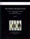 The White-Cheeked Geese