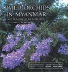 Wild Orchids in Myanmar, Volume 1