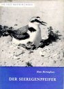 Der Seeregenpfeifer (Kentish Plover)