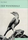 Der Wendehals (Eurasian Wryneck)